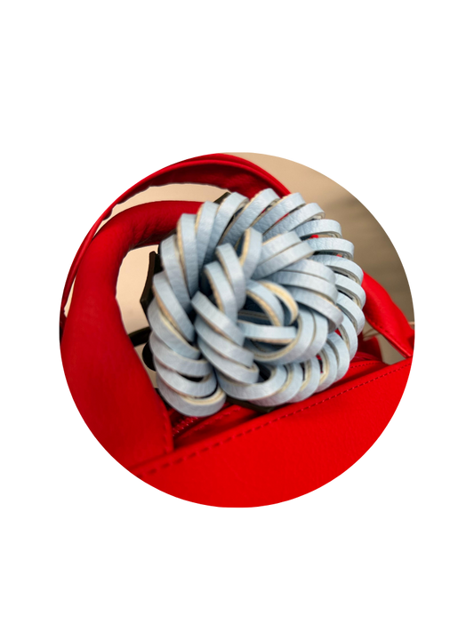 Charm Protea Ref.P1396